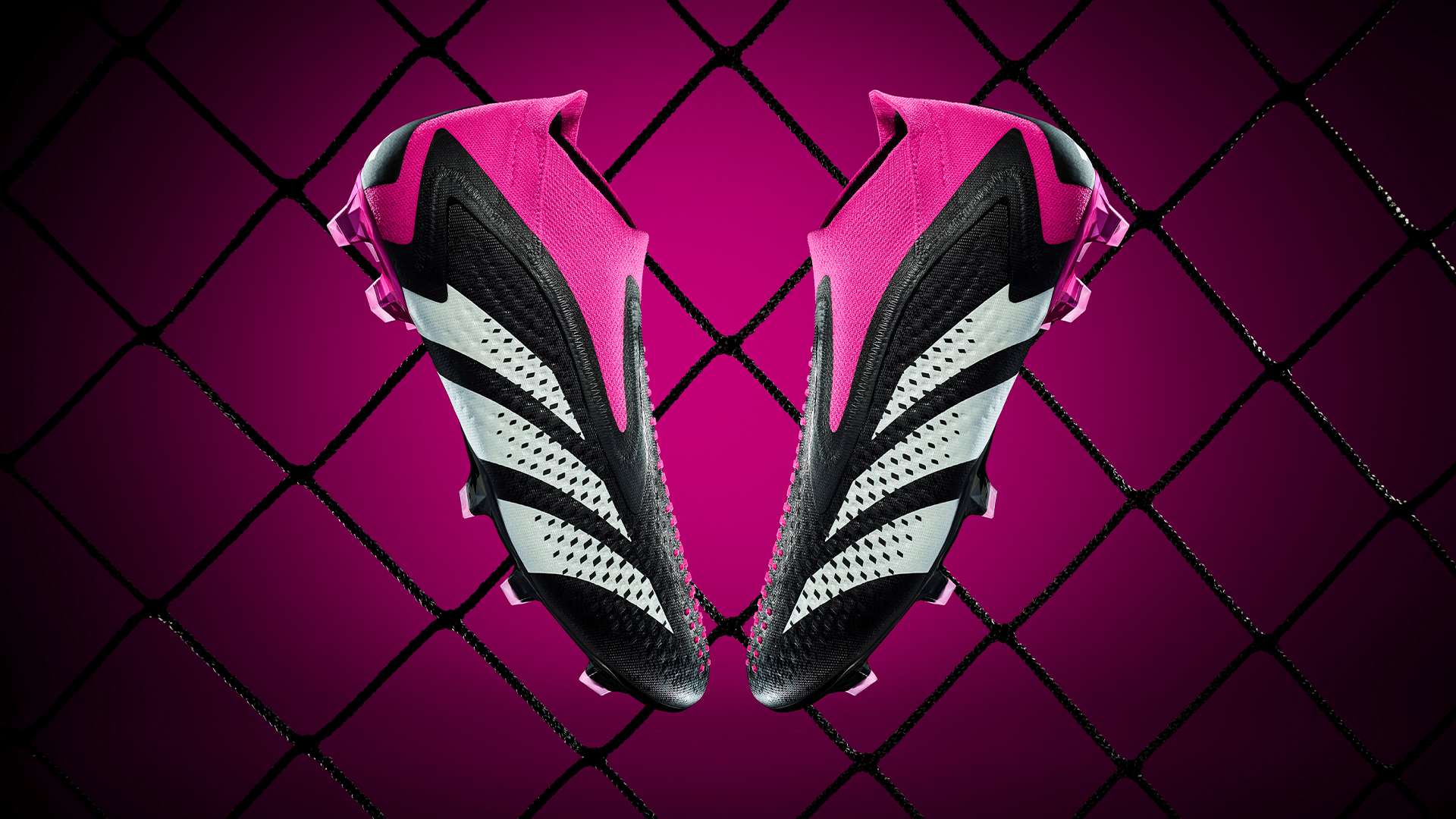 积累宝贵的 积累宝贵的